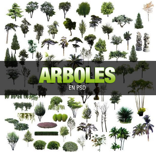 arboles